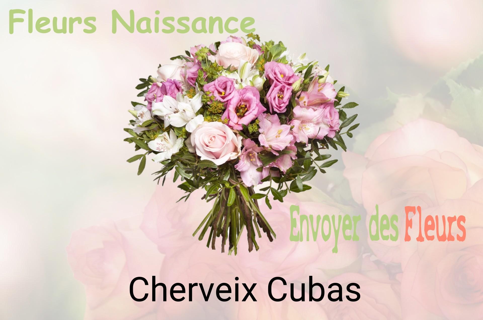 Bouquet de fleurs de naissance livré à Cherveix-Cubas